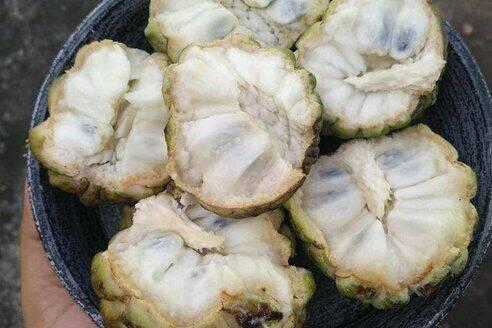 Yuukyuu No Gusha Asley No, Kenja No Susume Chapter 1 trang 35