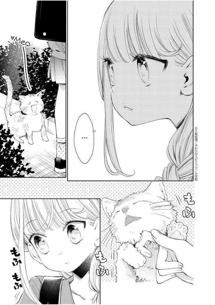 Yuzumori-san (KoY) Chapter 25 trang 8