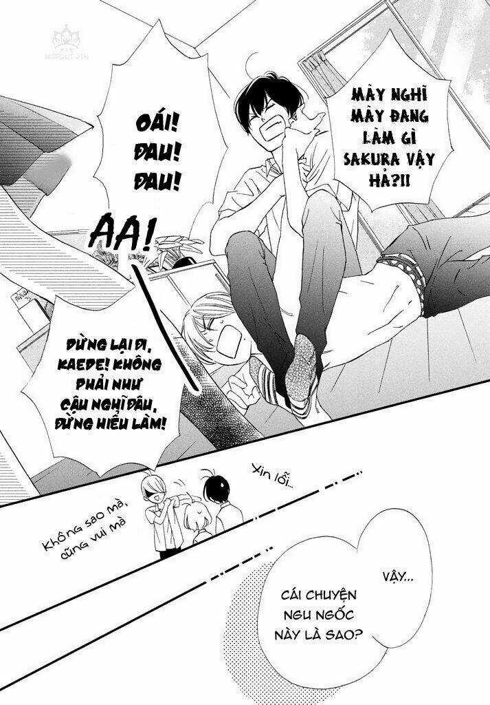 Zettai Ni Tokimeite Wa Ikenai! Chapter 3 trang 28