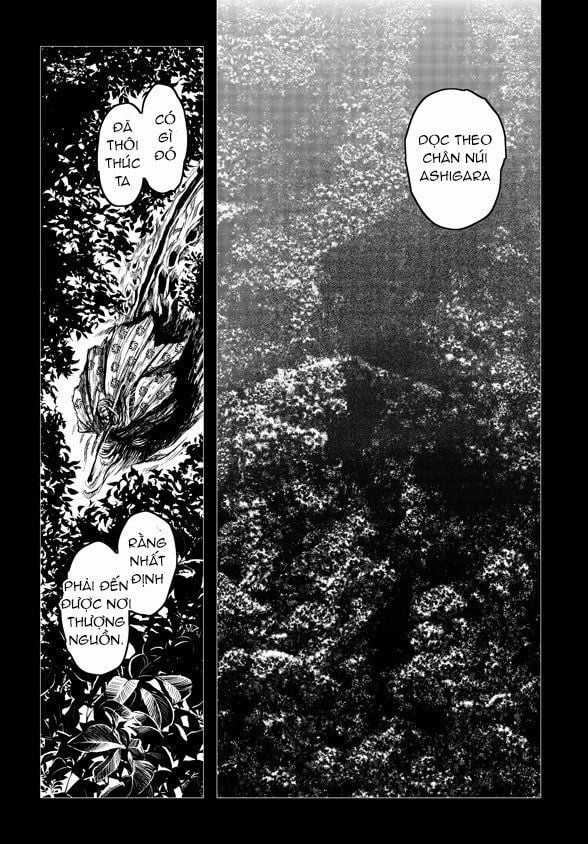 Zingnize Chapter 21 trang 18