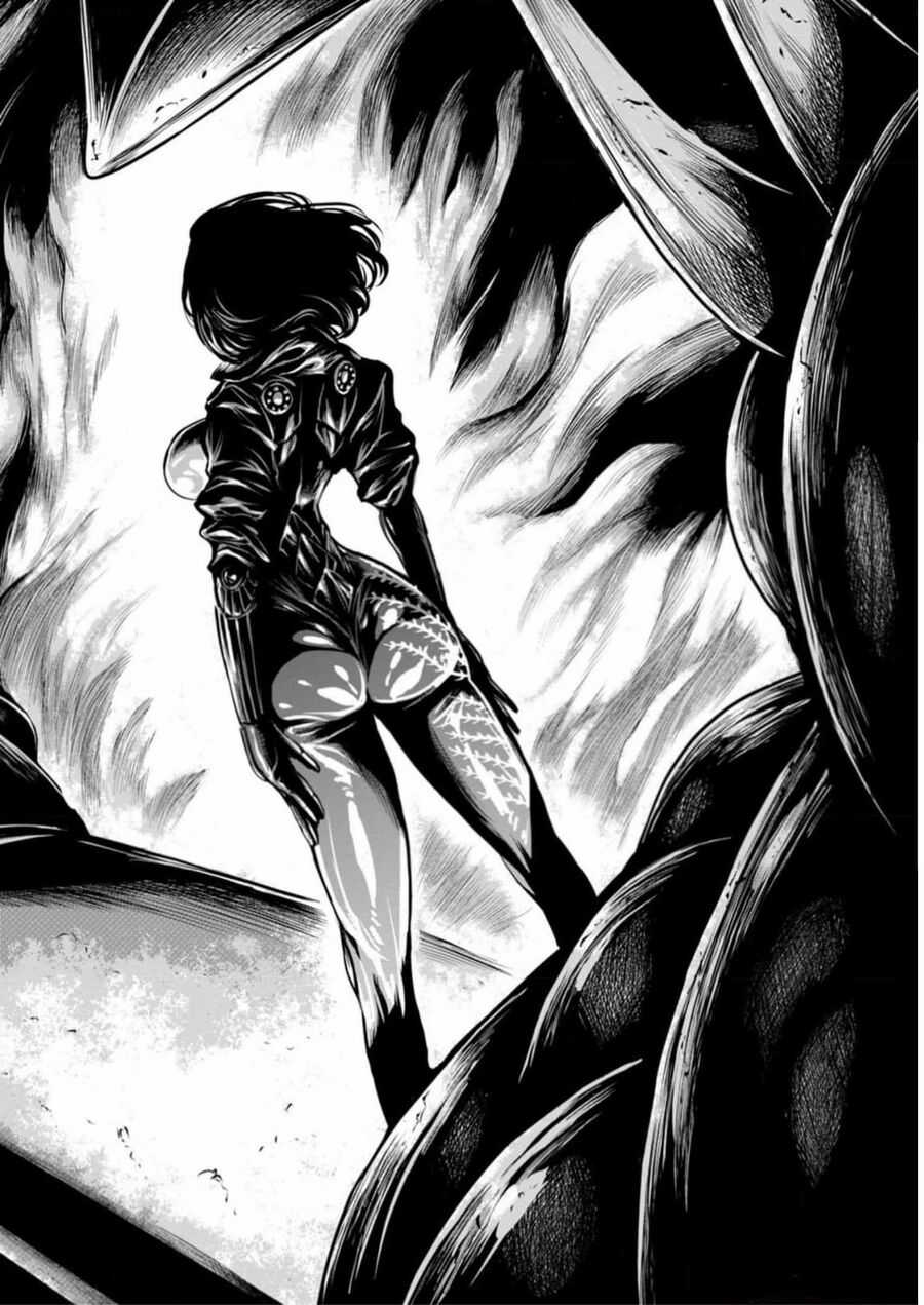 Zingnize Chapter 51 trang 2