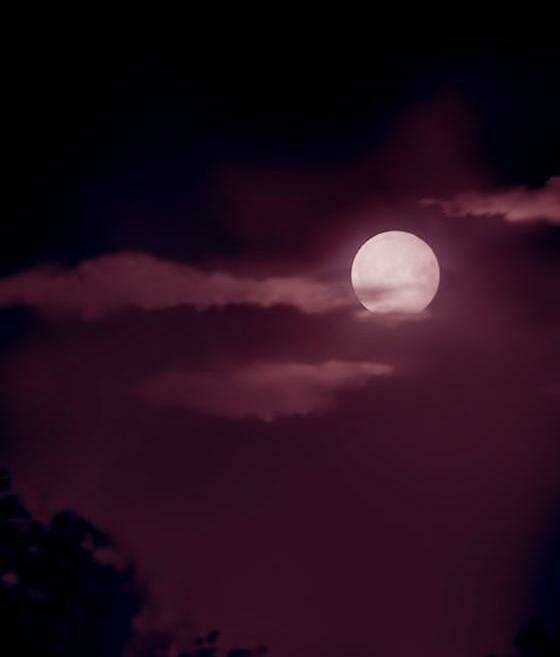 Zusun Chapter 9 trang 42